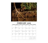 2026 Wall Calendar - Animal-Themed Monthly Planner Wall Calendar for All Year | Large Illustrated Design | Study Organizer for Classroom, Dining Room, Living Room