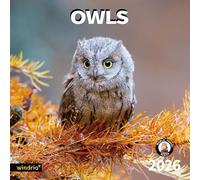 2026 Wall Calendar,Calendar 2026, July 2025 - December 2026, Wall Calendar Owls, 12" x 24" Opened,Full Page Months Thick & Sturdy Paper for Gift Perfect Calendar Organizing & Planning