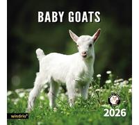 2026 Wall Calendar,Calendar 2026, November 2025 - December 2026, Wall Calendar Baby Goats, 12" x 24" Opened,Full Page Months Thick & Sturdy Paper for Calendar Organizing & Planning