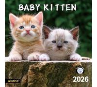 2026 Wall Calendar,Calendar 2026, November 2025 - December 2026, Wall Calendar Cat Kitten, 12" X 24" Opened,Full Page Months Thick & Sturdy Paper for Calendar Organizing & Planning