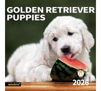 2026 Wall Calendar,Calendar 2026, November 2025 - December 2026, Wall Calendar Golden Retriever Puppies, 12" x 24" Opened,Full Page Months Thick & Sturdy Paper for Gift Calendar Organizing & Planning
