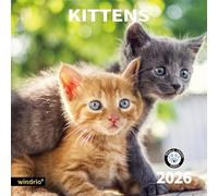 2026 Wall Calendar,Calendar 2026, November 2025 - December 2026, Wall Calendar Kittens, 12" x 24" Opened,Full Page Months Thick & Sturdy Paper for Gift Perfect Calendar Organizing & Planning