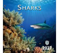 2026 Wall Calendar,Calendar 2026, November 2025 - December 2026, Wall Calendar Shark, 12" x 24" Opened,Full Page Months Thick & Sturdy Paper for Gift Perfect Calendar Organizing & Planning