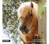 2026 Wall Calendar,Calendar 2026,Shetland Pony Cattle Monthly Wall Calendar, 12" x 24" Open,Family Planner Calendar, Home & Office Organizer,Hangable
