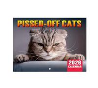 2026 Wall Calendar - Cats Calendar 2026 Wall, Jan.2026 - Dec.2026, 16.54" x 11.22" (Open), 12 Monthly Wall Calendar Gift - Hanging Hole, New Year Christmas Gifts for Cats Lovers