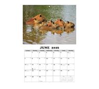 2026 Wall Calendar - Cute Otters & Capybara Design, 12-Month Animal Illustration Wall Calendar in English | Cute Otters and Capybara Theme Planners for Students, Kids, Teens, Adults, Teachers