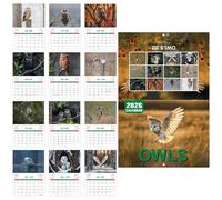 2026 Wall Calendar, Ephemeris Year Planner 2026, Illustrations Owls Organization Time Planning List Tasks Appointments Goals