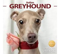 2026 Wall Calendar Italian Greyhound Planner Calendar, Hangable Monthly Wall Calendar with Large Blocks for Organizing & Planning, Academic Schedule, Home, Office & family, Thick & Sturdy Paper (12