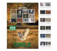 2026 Wall Calendar Owls - Monthly Wall Calendar with Owl Patterns - Jan - Dec 2026, Animal Pattern, Planner for Workplace School Gym Scheduling Planning