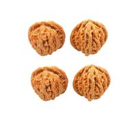 2026 Wenwan Walnuts,Chinese Walnuts Fidget,2PCS Walnut Hand Massage Balls,Handheld Walnut Massage Balls for Stress Relief, Anxiety Reduction & Holistic Health Care (A-2PCS)