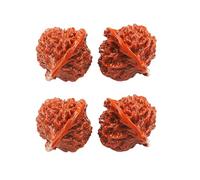 2026 Wenwan Walnuts,Chinese Walnuts Fidget,2PCS Walnut Hand Massage Balls,Handheld Walnut Massage Balls for Stress Relief, Anxiety Reduction & Holistic Health Care (B-2PCS)