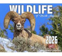 2026 Wildlife of North America Wall Calendar 16-Month X-Large Size 14x22, Sheep Bear Deer Moose Calendar by The KING Company-Monster Calendars