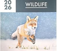2026 Wildlife Square Wall Calendar Wild Animals Birds Owl Rabbit Wolves Stag Home Kitchen Christmas Birthday New Year Gift