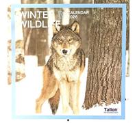 2026 Winter Wildlife Square Wall Calendar Cute Wild Animals Polar Arctic Antarctic Planner Organiser Home Kitchen Office Christmas Birthday New Year