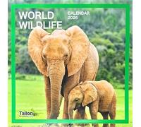 2026 World Wildlife Square Wall Calendar Cute Animals Wild Bear Wolf Gorilla Cheetah Birds Planner Organiser Home Kitchen Office Christmas Birthday New Year