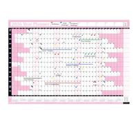 2026 Year Yearly Annual Office Home Wall Planner Calendar Chart Poster/Includes UK & Ireland Bank Holidays/Unmounted Unlaminated (Baby Pink, Extra Large 68cm x 100cm - Rolled)
