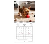2026 Yorkshire Terrier Calendar - Animal Art 12 Monthly Planning Planner, Featuring a Fresh Cover with Daisies and 12 Adorable Pictures of Yorkshire Puppies, Double Sided Printed on Thick Coated Paper