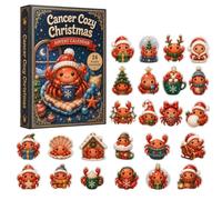 2026 Zodiac Advent Calendar 24 Days 2D Acrylic Star Sign Ornaments | Each zodiac has 2 unique designs - open daily to reveal a different celestial style.