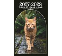 2027-2028 Pocket Calendar: Ginger Cat Cover with Birthday Records, Travel Plans and Budgeting , Size 4 × 6.5 in