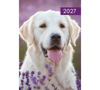 2027 A5 Week to View Diary - Puppies or Kittens Pet Design Diaries - Hardback Full Year Planner Organiser UK Dog & Cat Diary (Dog Design)