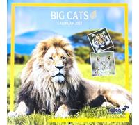 2027 Big Cats Square Wall Calendar 16 Month Planner Organiser Home Office
