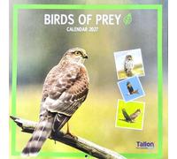 2027 Birds of Prey Square Wall Calendar Wild Planner Organiser Home Office