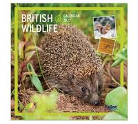 2027 British Wildlife & Birds Month To View Calendar Wall Hanging Nature Themed Family Planner Large Square Organiser (British Wildlife 2027)