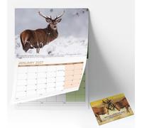 2027 British Wildlife Calendar UK A4 Wall Calendar | Month to View Wall Calendar with Beautiful British Animal Photography | Paper Hanging