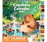 2027 Capybara Hot Spring Wall Calendar, Spiral Double-Sided Thick Coated Paper Planner, Cute Aesthetic Design with Steam & Coffee Art, Great Home or Office Gift