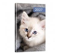 2027 Cats Patterned Diary Week To View Slim Pocket Size Hardback Diary With Ribbon Bookmark | Cats Design | 16.8 X 8 X 1cm | Personal Planner & Notes Pages Pack Of 1