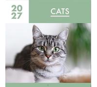 2027 Cats Square Wall Calendar Planner Organiser Kittens Pets Animals Cute
