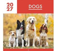 2027 Dogs Square Wall Calendar Planner Organiser Puppies Pets Animals Cute