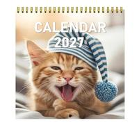 2027 Funny Cat Meme Wall Calendar, Humorous and Playful Kitten Daily Phrase Design Hanging Calendar