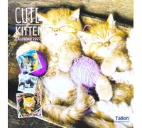 2027 Kittens Square Wall Calendar 16 Months Cats Cute Ginger Black White