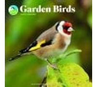 Carousel Worldwide Garden Birds 2027 Square Wall Calendar, 12-Month Calendar, Colorful Bird Photography