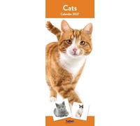 2027 Slim Month To View Spiral Bound Cat Photo Wall Calendar - Cats