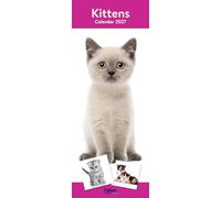 2027 Slim Month To View Spiral Bound Cats Photo Wall Calendar - Kittens