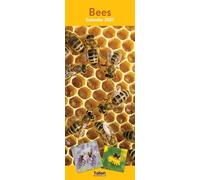 2027 Slim Month To View Spiral Bound Photo Wall Calendar - Bees & Flowers