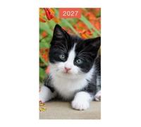 2027 Slim Pocket 2 Week To View Soft Back Cat Diary - Black and White Kitten