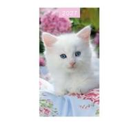 2027 Slim Pocket 2 Week To View Soft back Cat Diary - White Kitten
