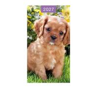 2027 Slim Pocket 2 Week To View Softback Dog Diary - Golden Puppy