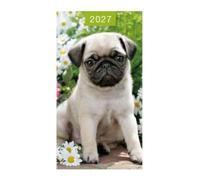 2027 Slim Pocket 2 Week To View Softback Dog Diary - Grey Pug Puppy