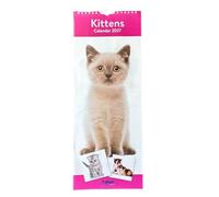 2027 Slimline Wall Calendar Month to View 41cm x 16cm - Kittens