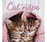2027 Square Wall Calendar - Cat Naps 12 x 12 Inch Monthly View, 16-Month, Animals Theme, Includes 180 Reminder Stickers