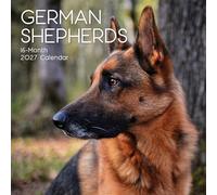 2027 Square Wall Calendar - German Shepherds 12 x 12 Inch Monthly View, 16-Month, Animals - Paw Theme, Includes 180 Reminder Stickers