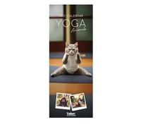 2027 Super Slim Month to View Spiral Bound Hanging Wall Calendar Home Office (Yoga Cat)