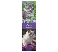2027 Super Slim Month To View Spiral Bound Photo Wall Calendar (Cats)