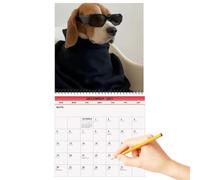 2027 Wall Calendar Funny Dachshund Prints Large Date Grid Planner
