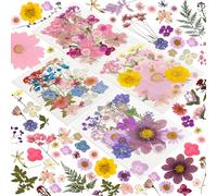 204 Pcs Dried Pressed Flowers for Resin Crafts, Real Natural Pressed Flowers and Leaves, Vacuum Sealed Dry Flowers for Epoxy Resin Jewelry Making, Candle & Soap Making, Nail Art (Purple pink)