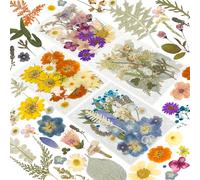 204 Pcs Dried Pressed Flowers for Resin Crafts, Real Natural Pressed Flowers and Leaves, Vacuum Sealed Dry Flowers for Epoxy Resin Jewelry Making, Candle & Soap Making, Nail Art (Purple)